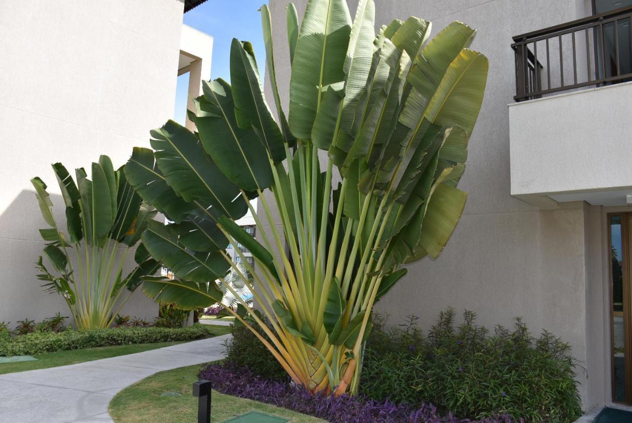 Boutique Ecolife Appartement Pôrto das Galinhas Buitenkant foto